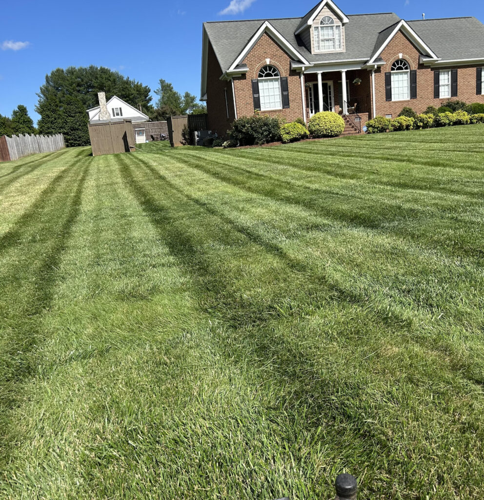 Lawn Maintenance - Willow Tree Lawn Care Inc.
