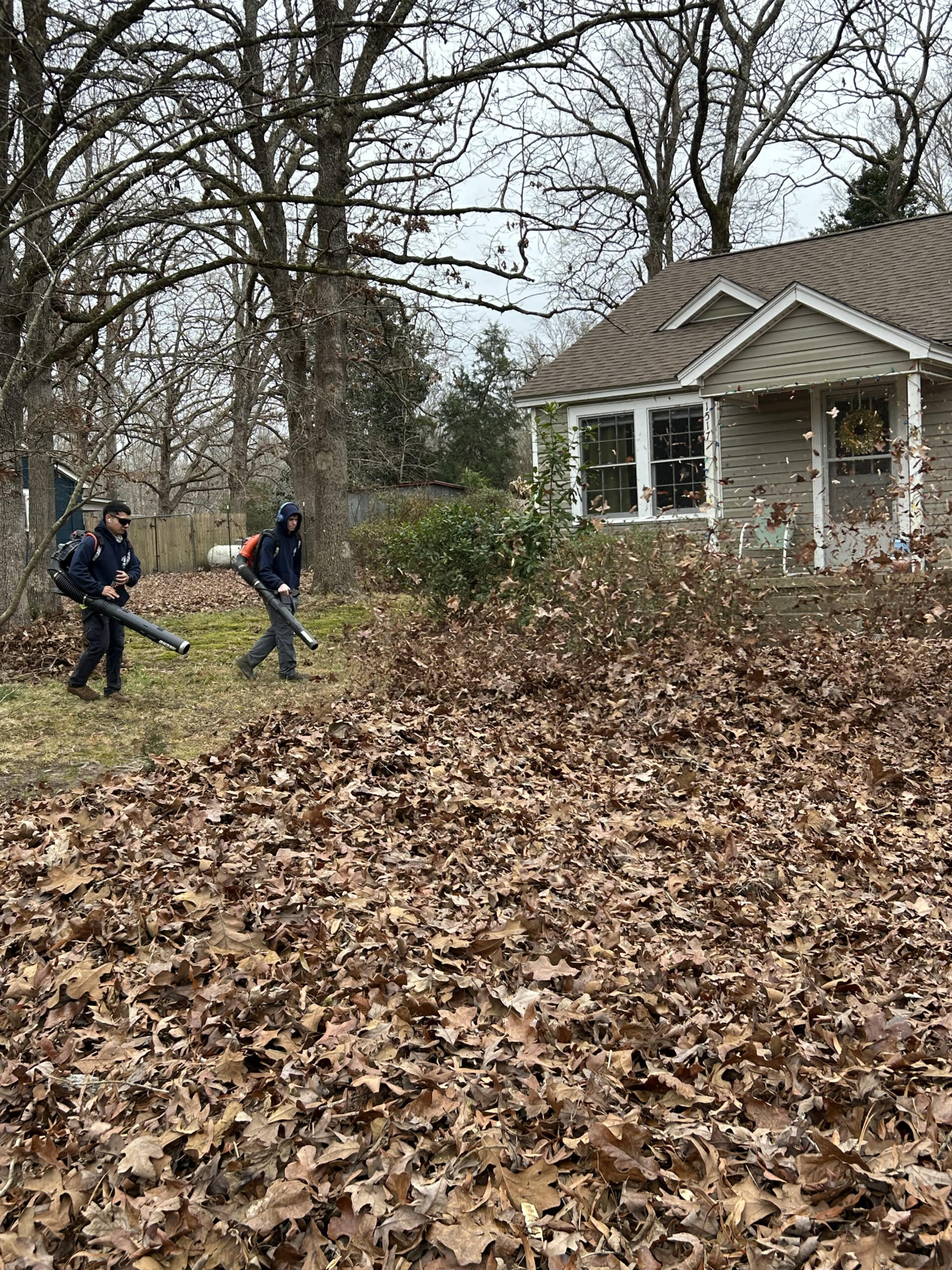 Leaf Cleanup - Willow Tree Lawn Care Inc.